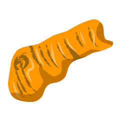 Illustration of fresh turmeric, a herbal medicinal plant