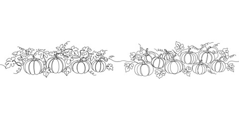 Fototapeta premium Set of pumpkins with leaves in black line art on transparent background 