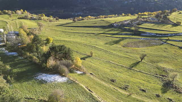 Aerial view of sun-drenched green fields subtly dusted with early snow, a serene landscape punctuated by clusters of trees, Posof, Ardahan, T&Atilde;&frac14;rkiye.