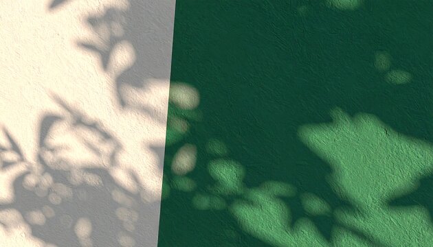 Muted tones, leaf shadows on wall