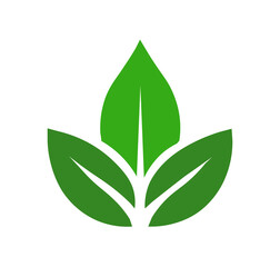 green leaf vector on white background