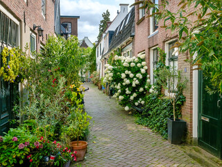 Obraz premium Weesp, Amsterdam, Noord-Holland province, The Netherlands