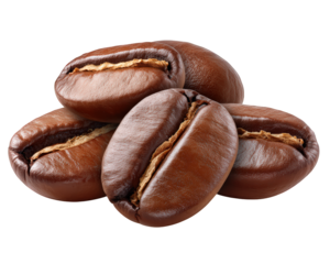 Coffee bean brown roasted trio shadow closeup isolated food ingredient aromatic natural caffeine glossy macro fresh texture organic energy morning drink seed minimal realistic gourmet agriculture