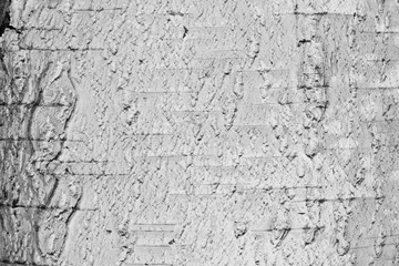 pattern of birch bark with black stripes