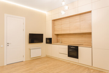 Modern kitchen design featuring wooden accents and minimalist decor in a cozy apartment setting