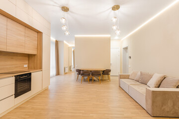 Bright and modern living space with open kitchen and dining area in contemporary apartment