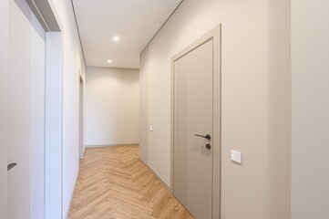 bright hallway with neutral walls, wooden herringbone floor, and paneled doors. Minimalist and clean