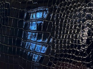 Close-up pattern of glossy black crocodile texture with light reflection