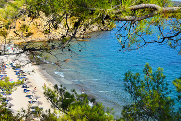Metalia Beach in Limenaria, Thassos Greek island stock photo images. Thassos Greek island landscape with sea and pine trees stock photo. Beautiful Metalia beach on Thassos, Greece photo