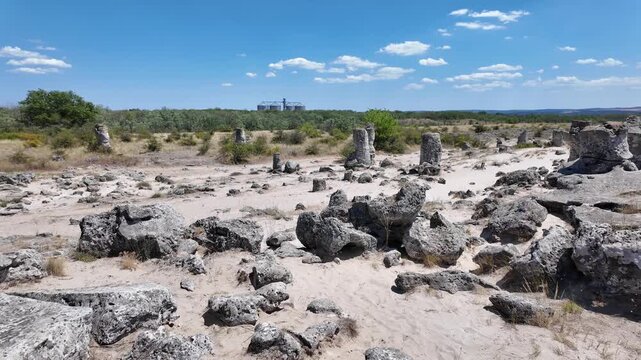 Summer view of rock formation Pobiti Kamani (Upright Stones), Varna region, Bulgaria