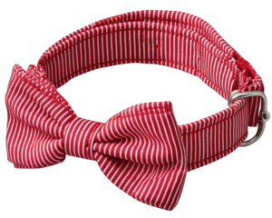 Red striped fabric cat collar with bowtie, adjustable metal buckle, isolated on transparency background, stylish pet accessory for cats, cheerful and fashionable design