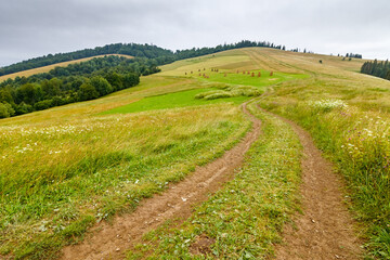 travel mountain landscape with path through meadow in summer. nature background with overcast sky....