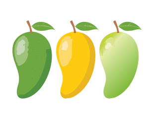 Various Stages of Mango Ripeness with Leaves - Vector Illustration