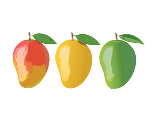 Different Stages of Mango Ripeness in a Row - Vector Illustration