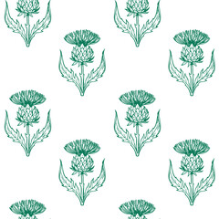 Thistle illustration. Seamless pattern, realistic hand drawn vector sketches