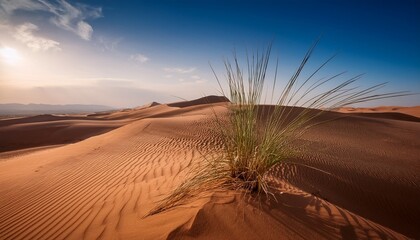 stubborn grass blades clinging to life amidst shifting sand dunes under a vast desert sky strength visual brown