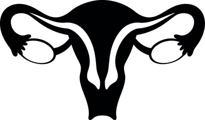 Female reproductive system anatomy diagram