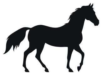 Obraz premium PNG Equestrian silhouette clip art animal mammal horse.