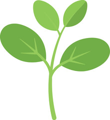 Obraz premium Green sprout growing plant isolated on white background