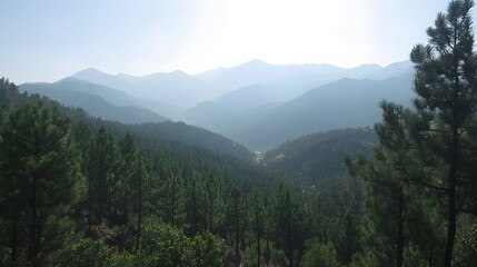 Obraz premium Majestic Mountain Range with Lush Pine Forest Landscape