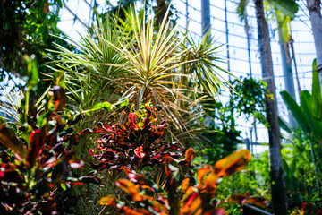 植物園で見つけた光景
