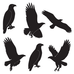 Fototapeta premium Eagle Silhouette Vector Set Flying and Perched Birds Collection Wildlife and Nature Illustration for Design and Decoration