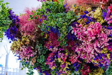 植物園で見つけた光景