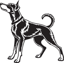 Fototapeta premium Drever dog vector art silhouette image