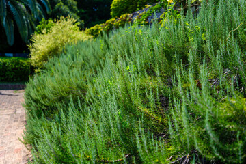 植物園で見つけた光景