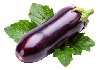Eggplant with leaves isolated on white background