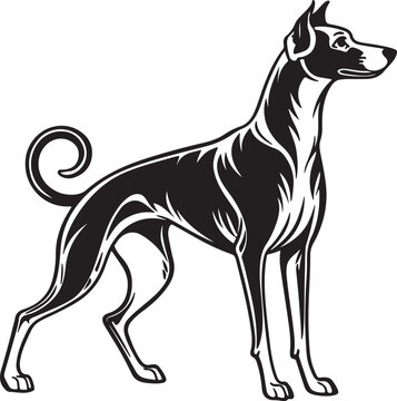 Drever dog vector art silhouette image