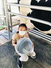 A child girl learns to milk a cow while touring a dairy farm in Thailand. The child shows the milk from the cow in a bucket after milking - Vertical image.