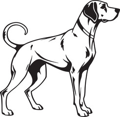Fototapeta premium Drever dog vector art silhouette image