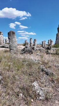 Summer view of rock formation Pobiti Kamani (Upright Stones), Varna region, Bulgaria