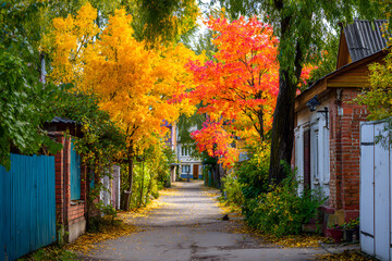 Beautiful alBeautiful alley in colorful autumn timeley in colorful autumn time