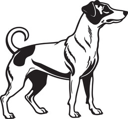 Fototapeta premium Drever dog vector art silhouette image