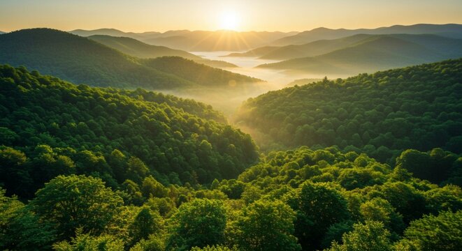 A breathtaking view of a golden sunrise over a vast mountain range, with morning fog blanketing the lush green forest valleys.
