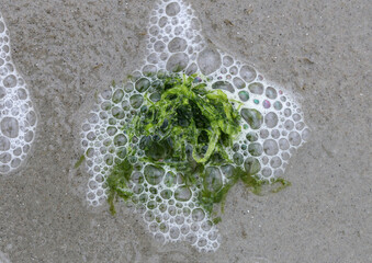 Am Strand - At the Beach