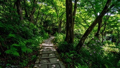 Fototapeta premium Lush, shaded pathway through a verdant forest