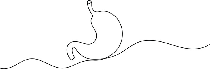 Human stomach icon continuous one line drawing for anatomy and medical design concepts