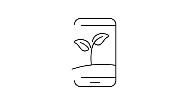 Plants and agriculture are controlled and monitored by smartphone, graphic animation. Alpha channel. Black linear. Transparent background motion design. 4K resolution