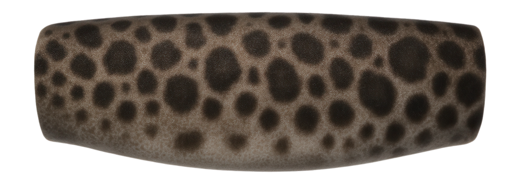 Leopard shark skin with spotted pattern and contrasting light and dark patches