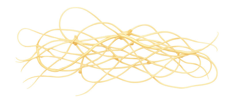 Dodder vine with thin, filamentous stems and absence of leaves or chlorophyll