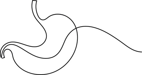 Human stomach icon continuous one line drawing for anatomy and medical design concepts