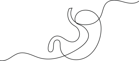 Human stomach icon continuous one line drawing for anatomy and medical design concepts