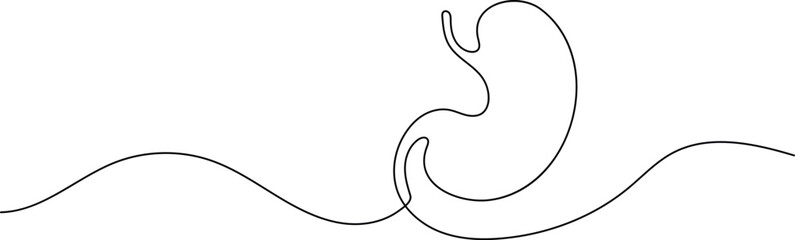 Human stomach icon continuous one line drawing for anatomy and medical design concepts