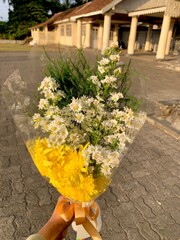flowers in the garden