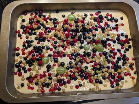 Traditional ovocna kynuta buchta in baking tray topped with gooseberries and black and red currants ready for oven baking, a classic Czech fruit dessert