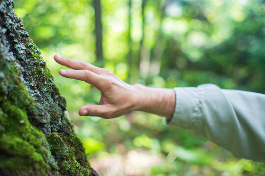 Man gently touching a tree trunk close-up. Bark wood. Connection with nature. Ecology, environmental care, love for the planet. - Powered by Adobe