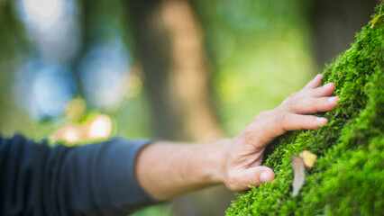 Man gently touching a tree trunk close-up. Bark wood. Connection with nature. Ecology, environmental care, love for the planet